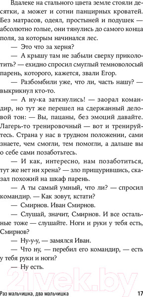 Изображение товара Книга Альпина Раз мальчишка, два мальчишка / 9785002232406 (Демишкевич А.)