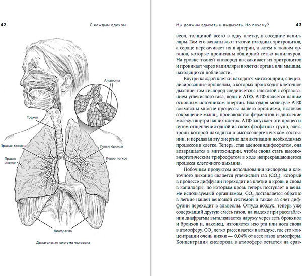 Изображение товара Книга Альпина С каждым вдохом. Удивительная история наших легких (Стивен Майкл)