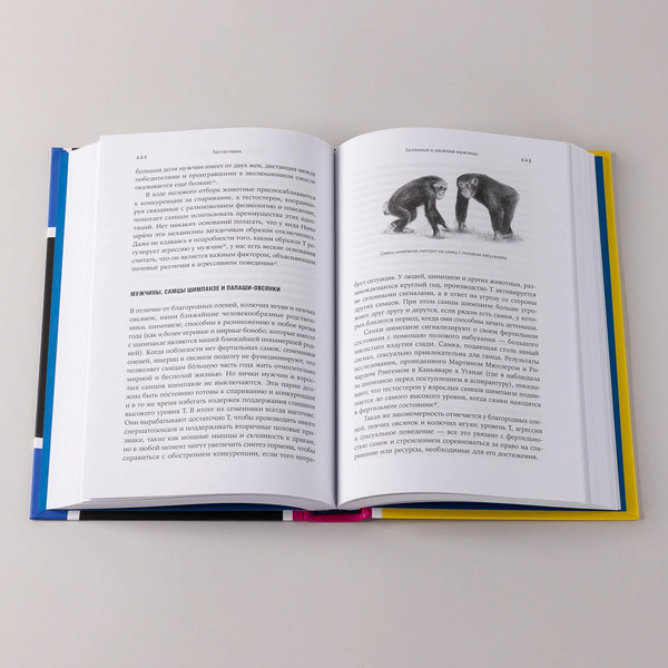 Изображение товара Книга Альпина Тестостерон: гормон, который разделяет и властвует (Хувен Кэрол)