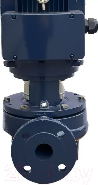 Изображение товара Циркуляционный насос Maxpump IPL 40-26G/2