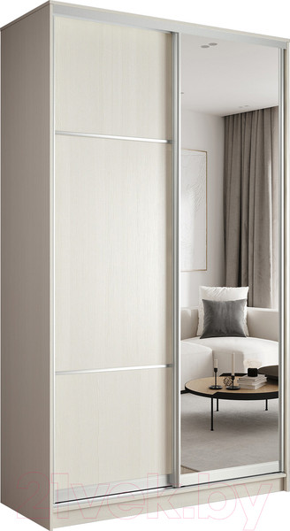 Изображение товара Шкаф-купе Евва 158 ВS.02 / АЭП ШК.2 01 (бодега/хром)