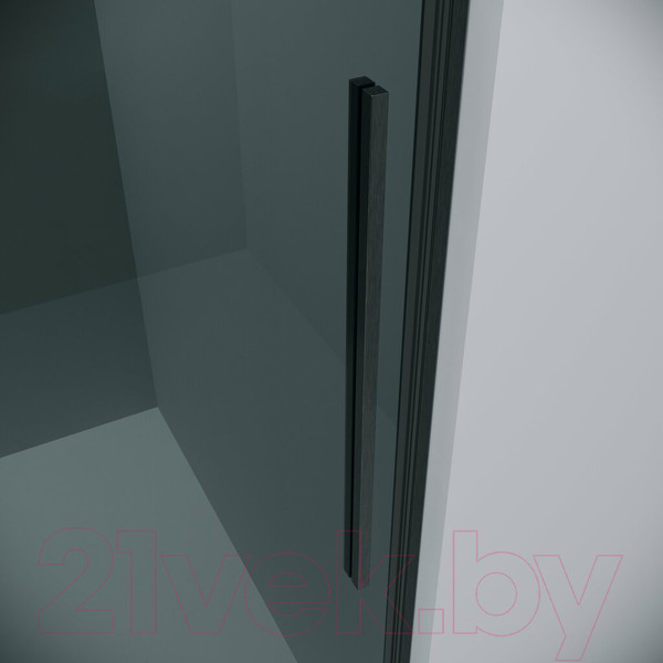 Изображение товара Душевая дверь Grossman Galaxy 100.K33.01.110.42.10 110x195 (графит сатин/стекло тонированное)