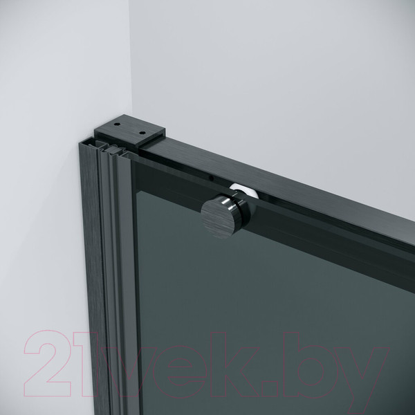 Изображение товара Душевая дверь Grossman Galaxy 100.K33.01.110.42.10 110x195 (графит сатин/стекло тонированное)