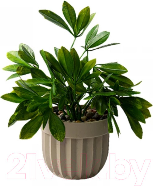 Изображение товара Искусственное растение Bir Numara EVA5793
