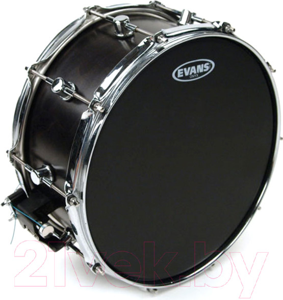 Изображение товара Пластик для барабана Evans B14ONX2