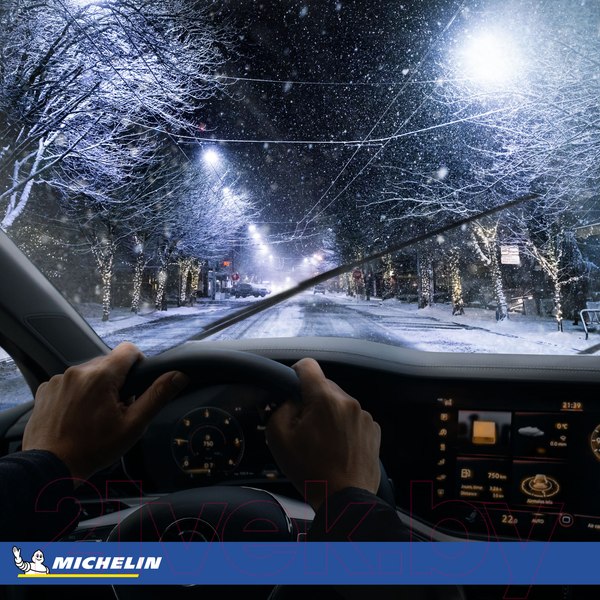 Изображение товара Зимняя шина Michelin Pilot Alpin 5 SUV 265/50R20 111V
