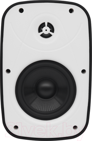 Изображение товара Настенная акустика SVS Audiotechnik PAF-5W Pro