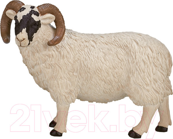 Изображение товара Фигурка коллекционная Konik Шотландский черноголовый баран / AMF1030