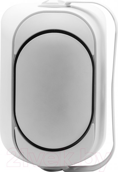 Изображение товара Настенная акустика SVS Audiotechnik PAF-8W Pro