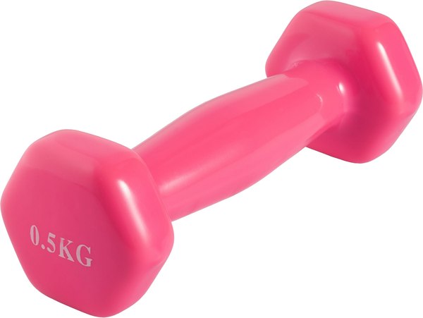 Изображение товара Гантель VictoryFit VF-DV005 (0.5кг)