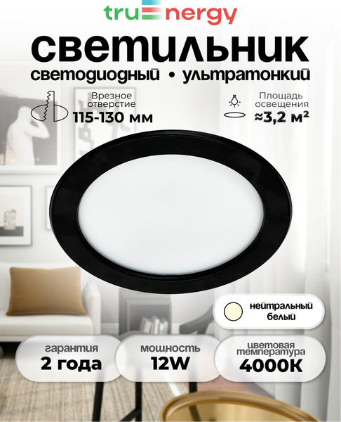 Изображение товара Точечный светильник Truenergy 12W 4000K IP20 /10039 (черный)