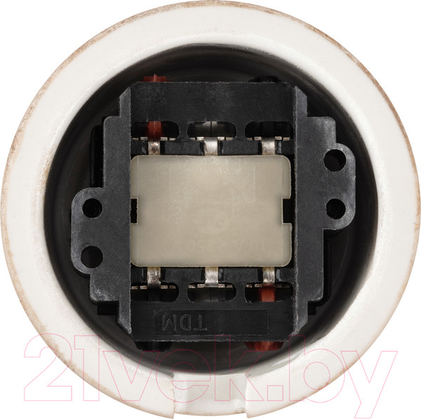 Изображение товара Выключатель TDM Болонь SQ1820-0114 (мраморный)