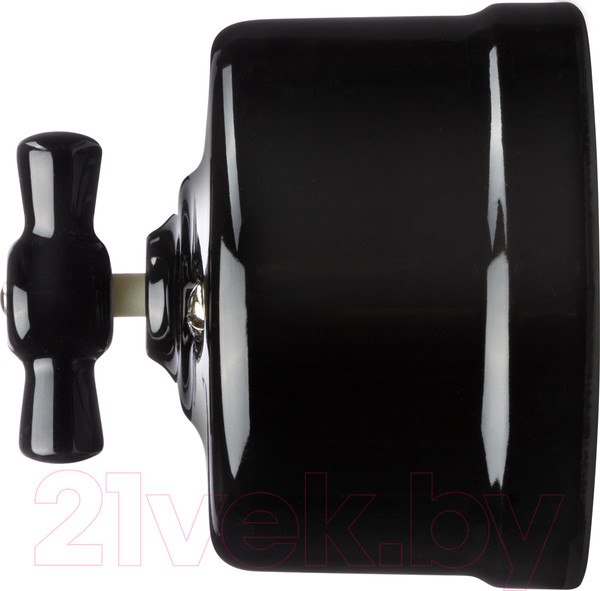 Изображение товара Выключатель TDM Болонь SQ1820-0211 (черный)