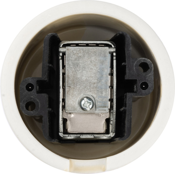 Изображение товара Розетка TDM Болонь SQ1820-0353 (слоновая кость)