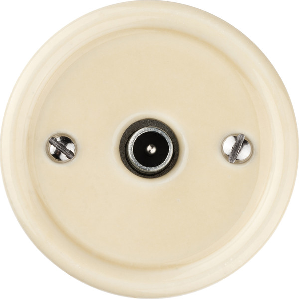Изображение товара Розетка TDM Болонь SQ1820-0353 (слоновая кость)