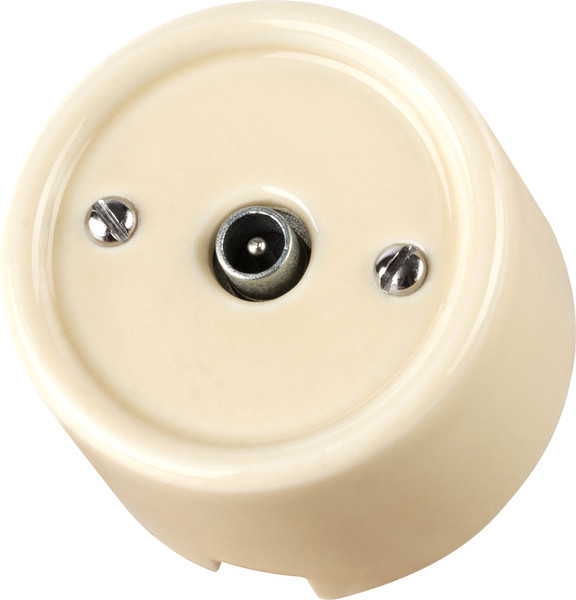 Изображение товара Розетка TDM Болонь SQ1820-0354 (слоновая кость)