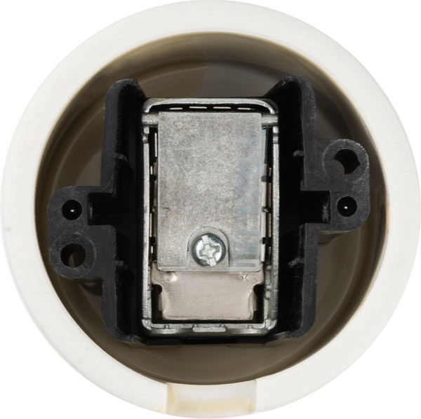 Изображение товара Розетка TDM Болонь SQ1820-0354 (слоновая кость)