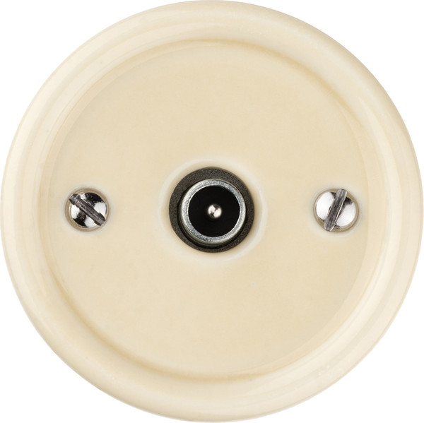 Изображение товара Розетка TDM Болонь SQ1820-0354 (слоновая кость)