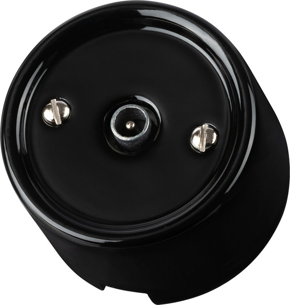 Изображение товара Розетка TDM Болонь SQ1820-0254 (черный)