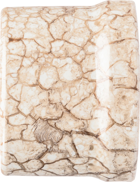 Изображение товара Розетка TDM Болонь SQ1820-0151 (мраморный)