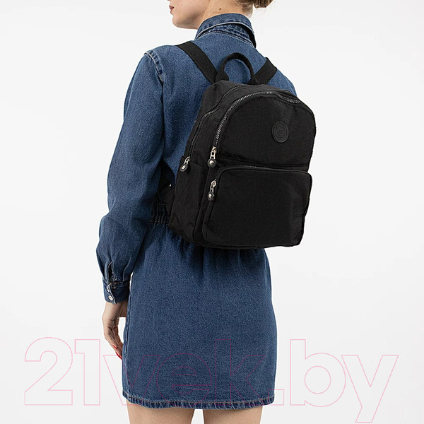 Изображение товара Рюкзак Valigetti 178-25-12-VG-BLK (черный)