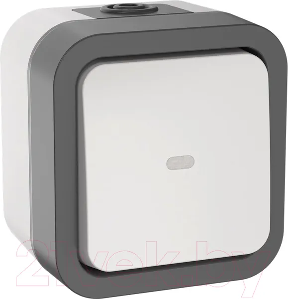 Изображение товара Выключатель IEK Tors TS-V10-1-10-55-K41 (белый)