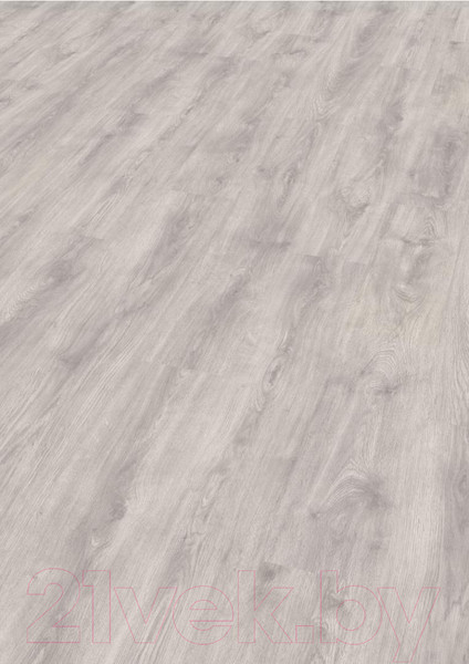 Изображение товара Ламинат Egger Basic Дуб Нордкап EBL013 (31 класс)