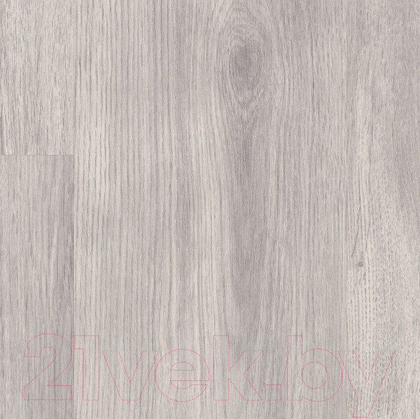 Изображение товара Ламинат Egger Basic Дуб Нордкап EBL013 (31 класс)