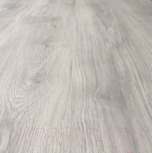 Изображение товара Ламинат Egger Basic Дуб Нордкап EBL013 (31 класс)