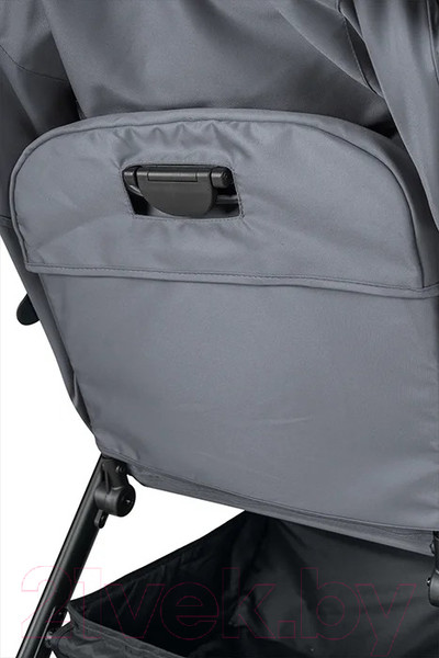 Изображение товара Детская прогулочная коляска Farfello Scarlet / HD-01 (графит)