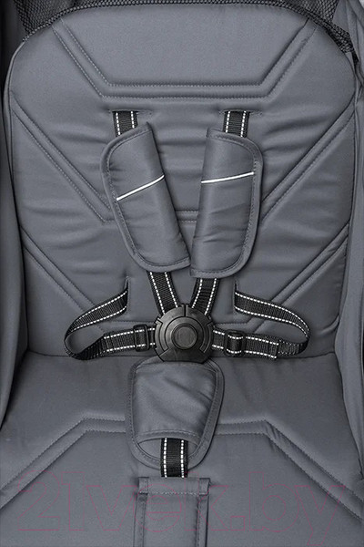 Изображение товара Детская прогулочная коляска Farfello Scarlet / HD-01 (графит)