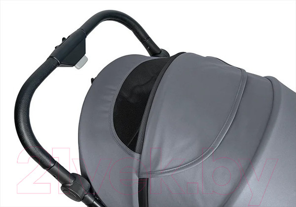 Изображение товара Детская прогулочная коляска Farfello Scarlet / HD-01 (графит)