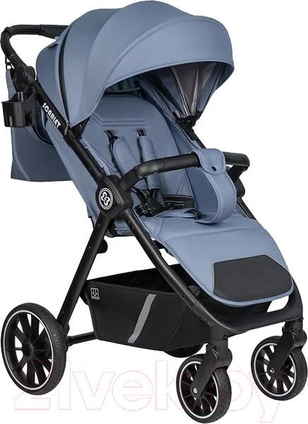 Изображение товара Детская прогулочная коляска Farfello Scarlet / HD-02 (серо-голубой)