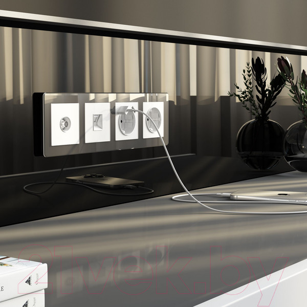 Изображение товара Розетка Werkel W1183041 (белый акрил)