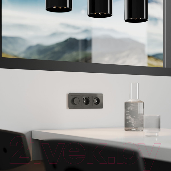 Изображение товара Диммер Werkel W1142044 (графит акрил)