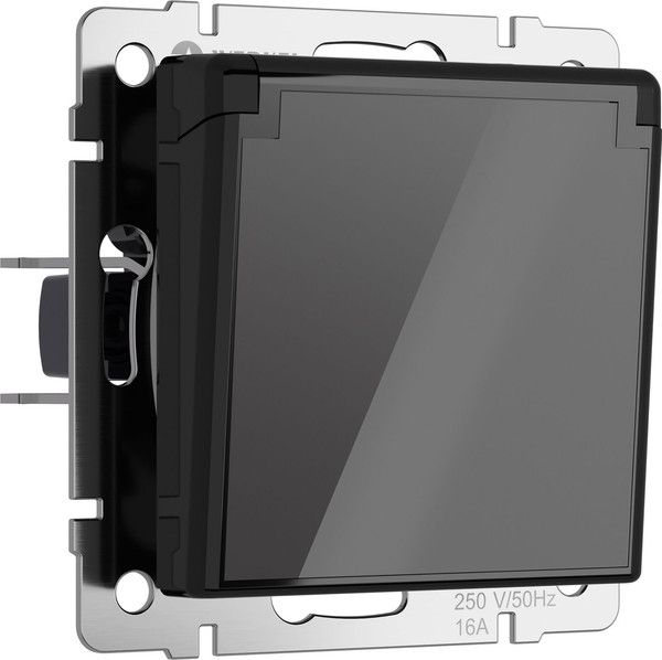 Изображение товара Розетка Werkel W1171244 (графит акрил)