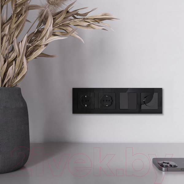 Изображение товара Диммер Werkel W1142048 (черный акрил)