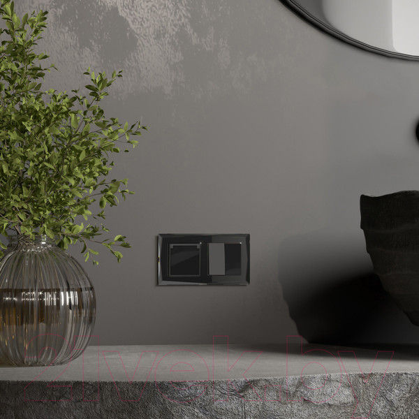 Изображение товара Розетка Werkel W1171248 (черный акрил)