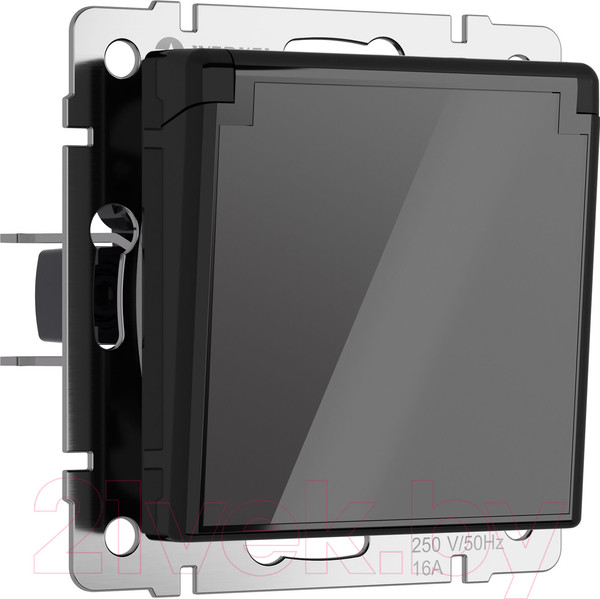 Изображение товара Розетка Werkel W1171248 (черный акрил)