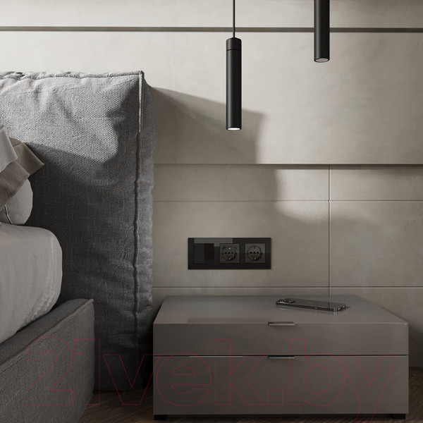 Изображение товара Розетка Werkel W1171748 (черный акрил)