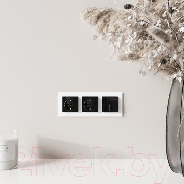 Изображение товара Розетка Werkel W1171748 (черный акрил)