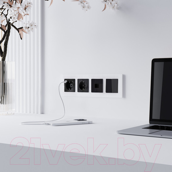 Изображение товара Розетка Werkel Ethernet RJ-45 / W1181048 (черный акрил)