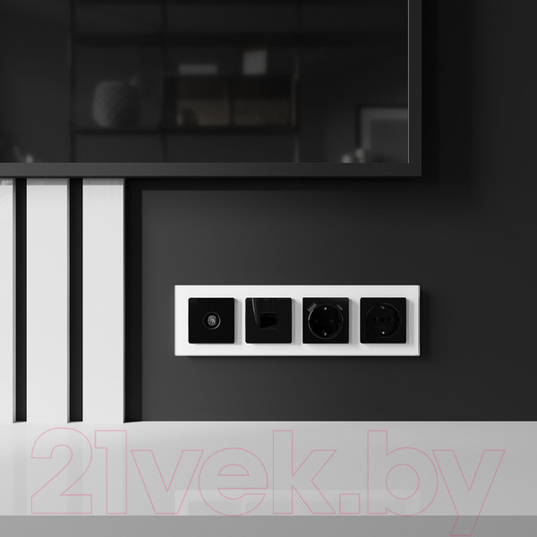 Изображение товара Розетка Werkel W1183048 (черный акрил)