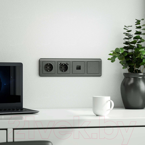 Изображение товара Декоративная заглушка для розетки Werkel W1159204 (графит рифленый)