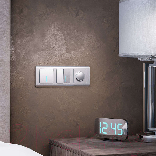 Изображение товара Диммер Werkel W1142009 (cеребряный рифленый)