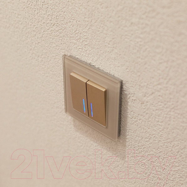 Изображение товара Выключатель Werkel W1122110 (шампань рифленый)