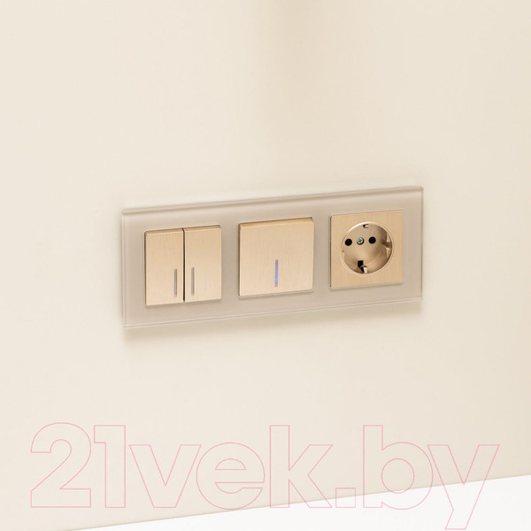 Изображение товара Выключатель Werkel W1122110 (шампань рифленый)