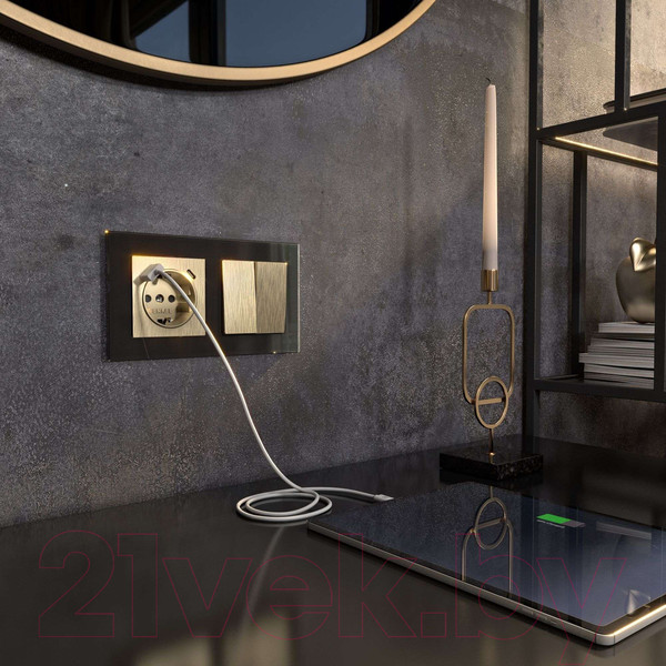 Изображение товара Розетка Werkel W1171710 (шампань рифленый)