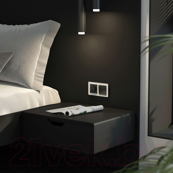 Изображение товара Диммер Werkel W1242008 (черный)