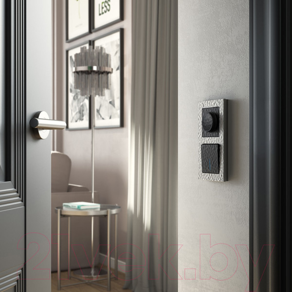 Изображение товара Диммер Werkel W1242008 (черный)